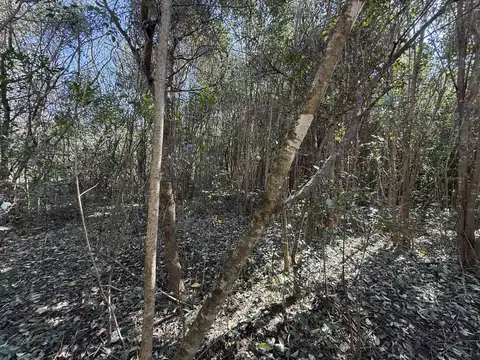 Venta terreno Lesser La Caldera naturaleza vistas