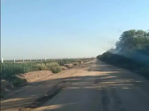 Monte Quemado Ruta 16