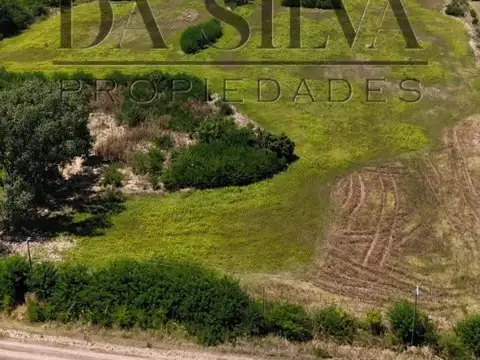 11 Ha de Campo muy cerca del centro de la Ciudad.