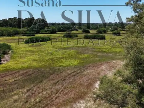 11 Ha de Campo muy cerca del centro de la Ciudad.