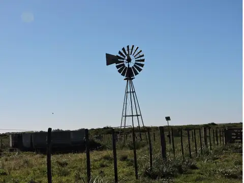 Campo de 230 Hás. en Gualeguaychú.