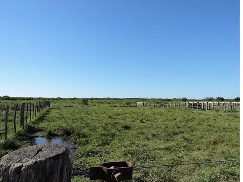 Campo de 230 Hás. en Gualeguaychú.