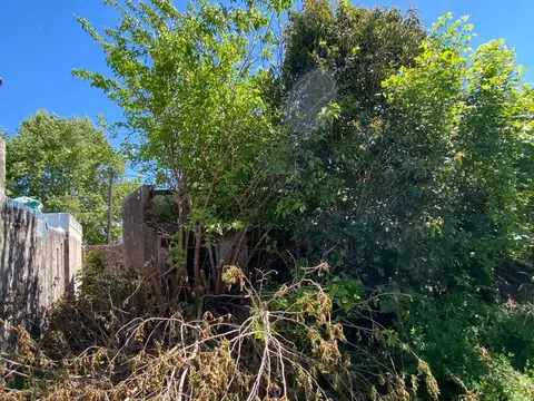 Terreno en Venta en Zarate, USD 90.000