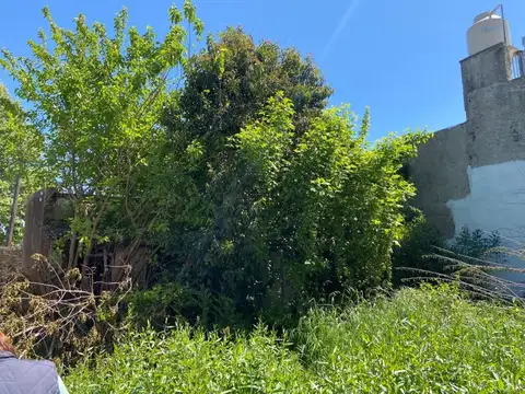 EXCEPCIONAL TERRENO PARA EMPREDIMIENTO