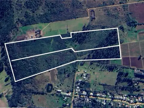 VENTA CAMPO / CHACRA 14 HECTAREAS BARROS BLANCOS