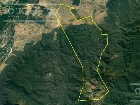 salta
