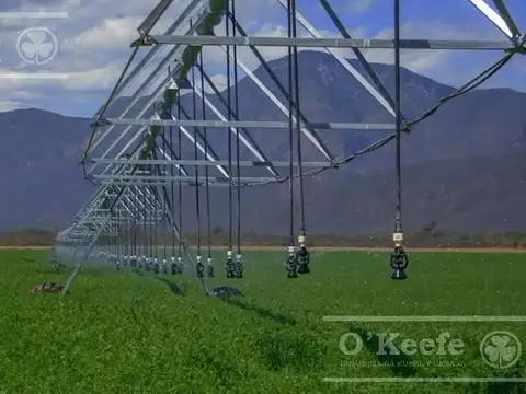 Campo mas Reserva Privada  en venta de 6300 has  en Gral Guemes ,Salta(Facilidades y Permutas)