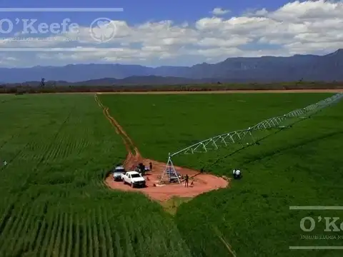 Campo mas Reserva Privada  en venta de 6300 has  en Gral Guemes ,Salta(Facilidades y Permutas)