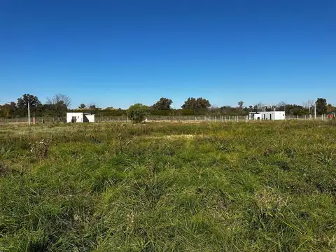Terreno en Venta de 1805,0 m2