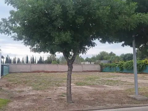 Terreno en Venta de 502,0 m2