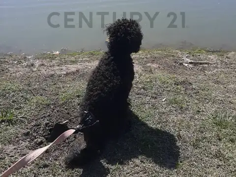 Terreno en Venta en San Felipe, USD 49.000