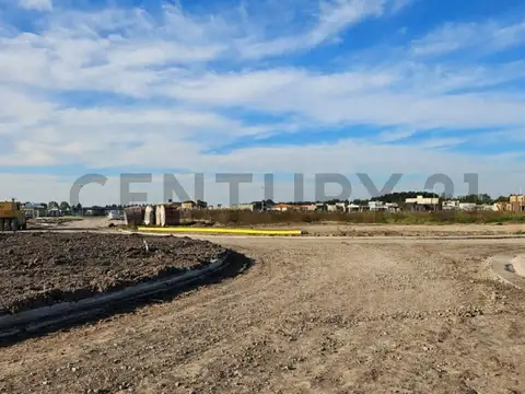 El deslinde 1300, Piso 0