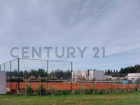 El deslinde 1300, Piso 0