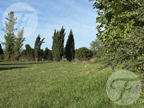 Terreno en Venta 47  mts Fondo