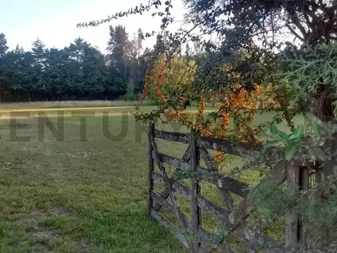 Oficina en Venta en Pilar Centro, USD 90.000