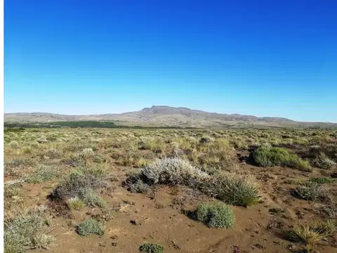 Manzana 124 – Lote 17