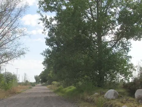 Bernardo Quiroga 100