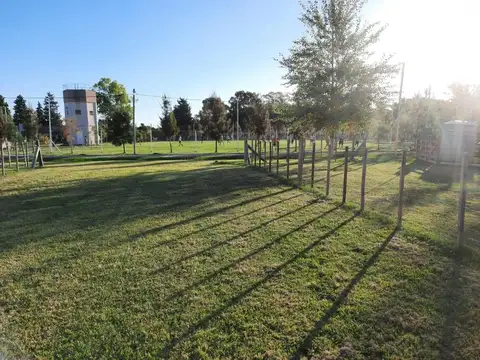 Terreno en Venta de 310,0 m2
