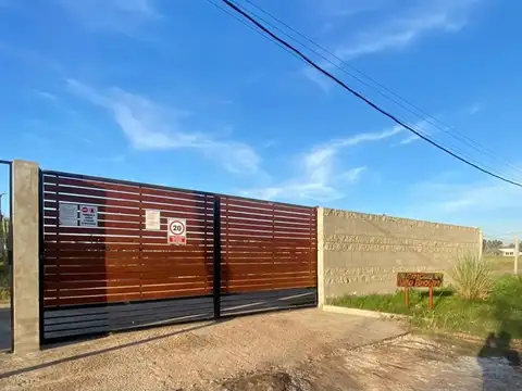 Calle 1443 100
