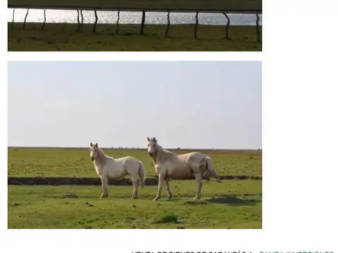 MERCEDES, CORRIENTES  4892 HAS