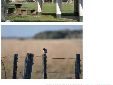 Campo en Venta con Alambrado