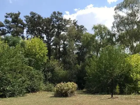 Terreno en Venta de 3000,0 m2