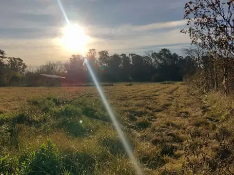 Terreno en Venta de 10375,0 m2