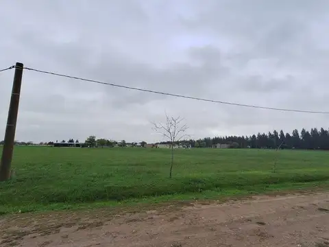 Terreno en Venta de 2331,0 m2