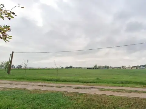 Campos de Roca ll, Ruta Provincial 2 100