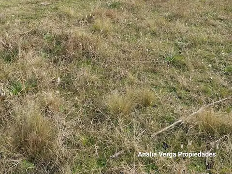 Terreno en Venta 47  mts Fondo