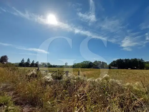 FORMOSA Y BARRAGAN - EXALTACION DE LA CRUZ S/N