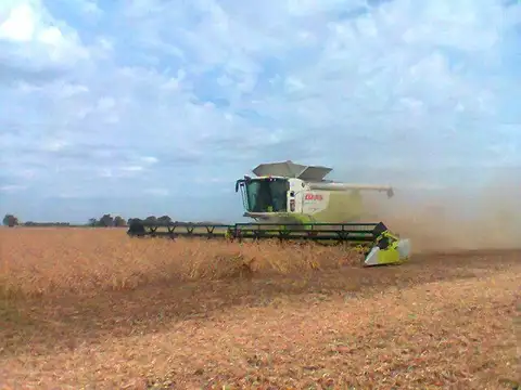 Campo en Alquiler de 6.000  ha
