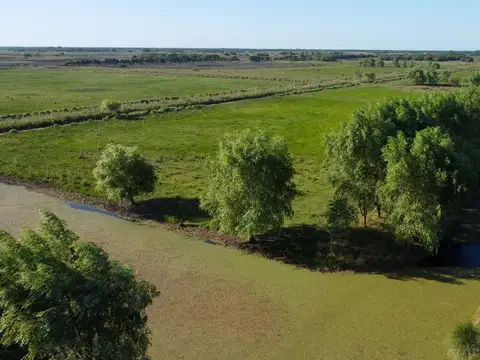 Venta lote comercial la mansa general madariaga