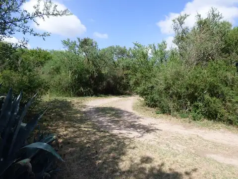 CHACRA 5 HA - SAN LUIS