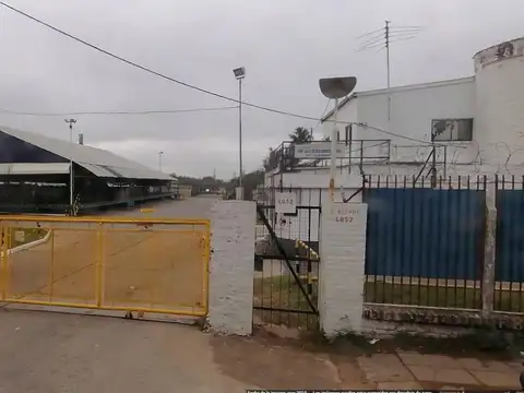 Terreno en Venta de 37000,0 m2