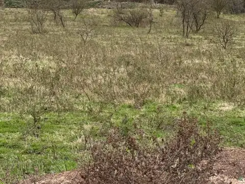 Campo en el pueblito