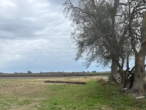 Campo en el pueblito