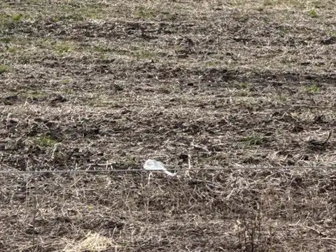 122 Hectáreas En El Pueblito