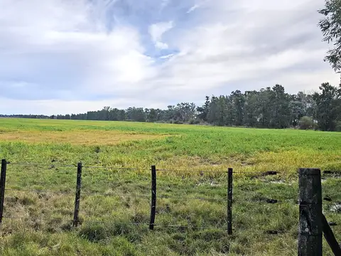 Campo en Venta de 406  ha