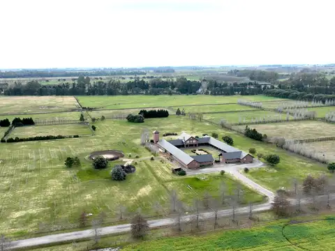 Haras sobre ruta en Chenaut