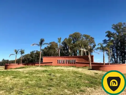Ruta 6 km al 100