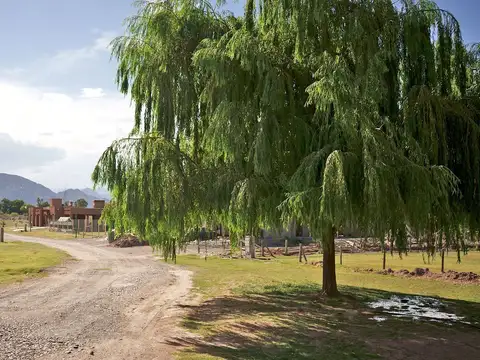 TERRENO CON PILETA BARRIO LOS SAUCES. ZONDA