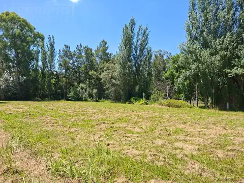 SDA. Venta terreno 1950 m2, Barrio  San Joaquin, ruta provincial 39  , Exaltacion de la Cruz