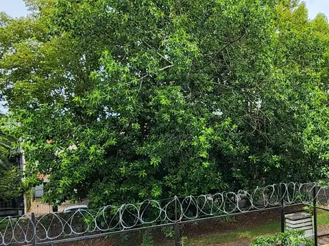 Av del Libertador 600, Piso 2