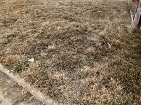 Terreno en Venta de 360,0 m2