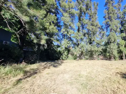 Terreno en Venta en La Reja – 260 m² en Zona Tranquila y Natural