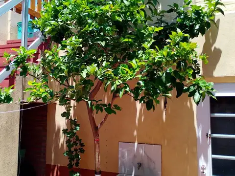 Depto Tipo Casa 2 ambientes con 1 baño