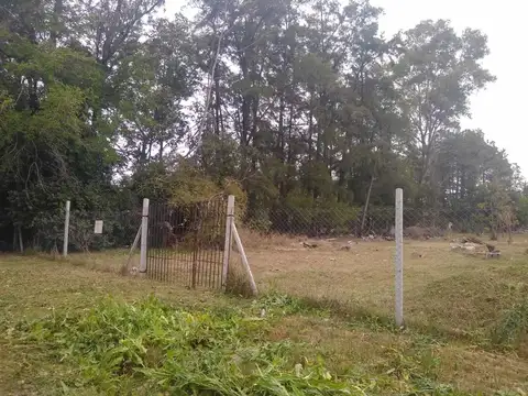 Terreno Lote  en Venta en Benavidez, Tigre, G.B.A. Zona Norte