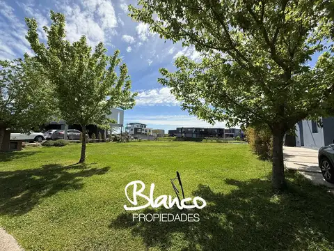 Puertos del Lago - Acacias -