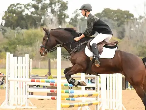 SAN SEBASTIAN AREA 12 LOTE al 100